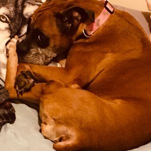 Meet your Posher, Naomi